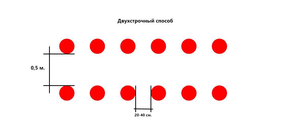 Схема посадки клубники на грядке шириной 90 см