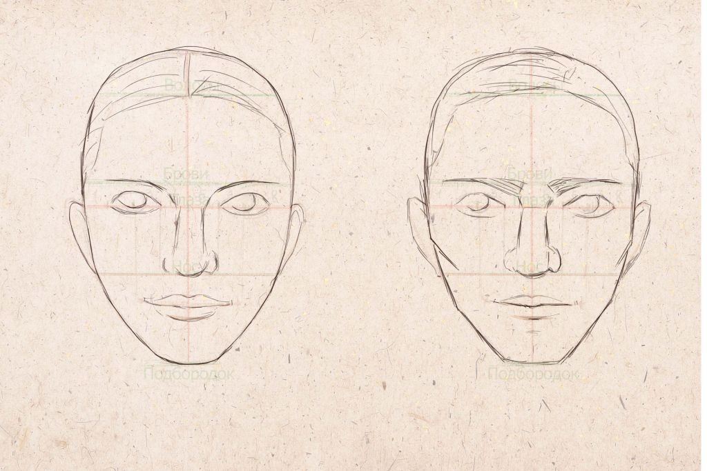 Портрет 6 класс изо. Рисование человеческого лица. Рисование лица человека. Правильное рисование лица. Этапы рисования женского лица.